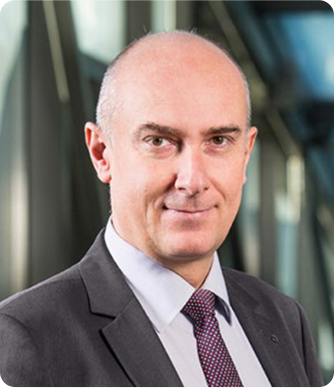 Prof. dr hab. inż. Krzysztof Pikoń